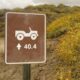 Фанаты Jeep бьются в догадках над фотографией компании в Twitter