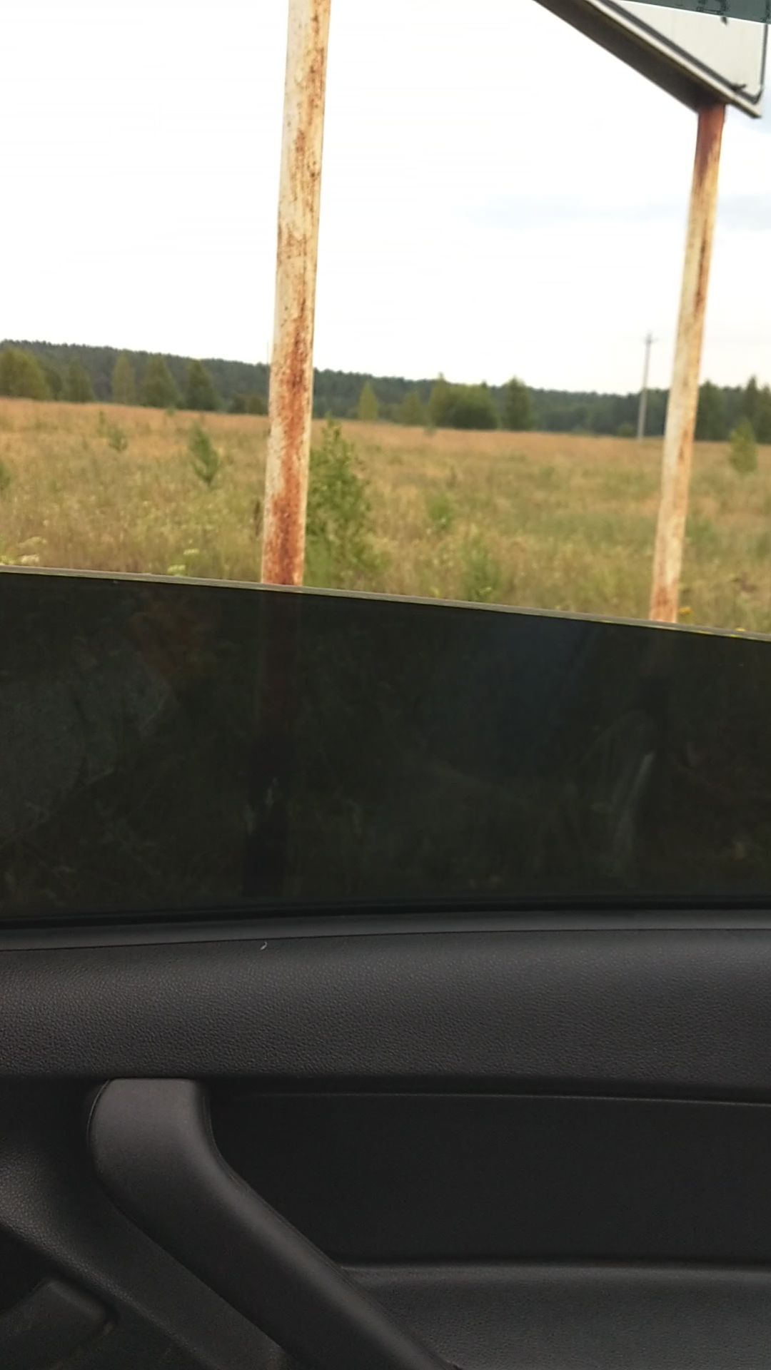В Госдуме РФ предложили разрешить тонировку боковых передних стекол автомобиля