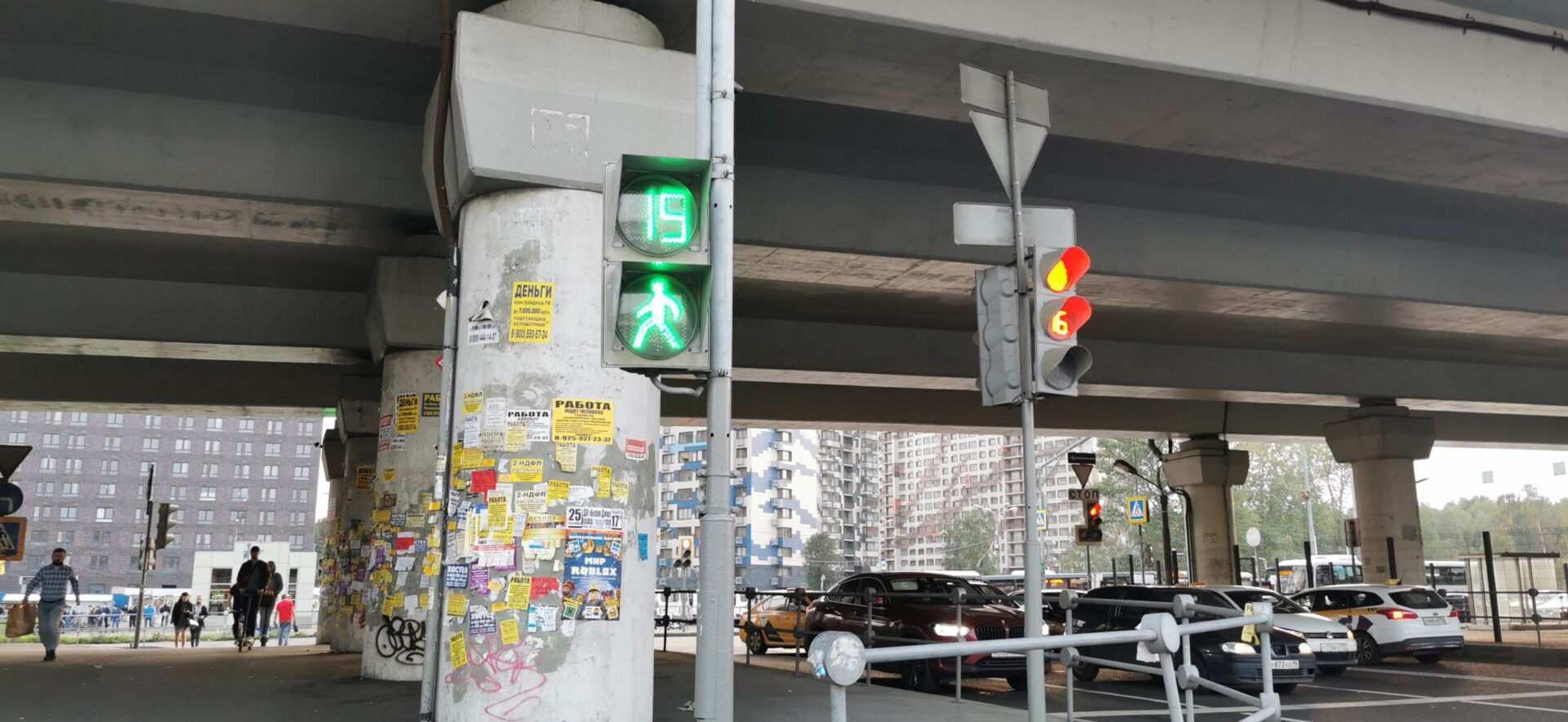 Autonews назвал крайнюю необходимость защитой от штрафа за проезд на красный сигнал светофора