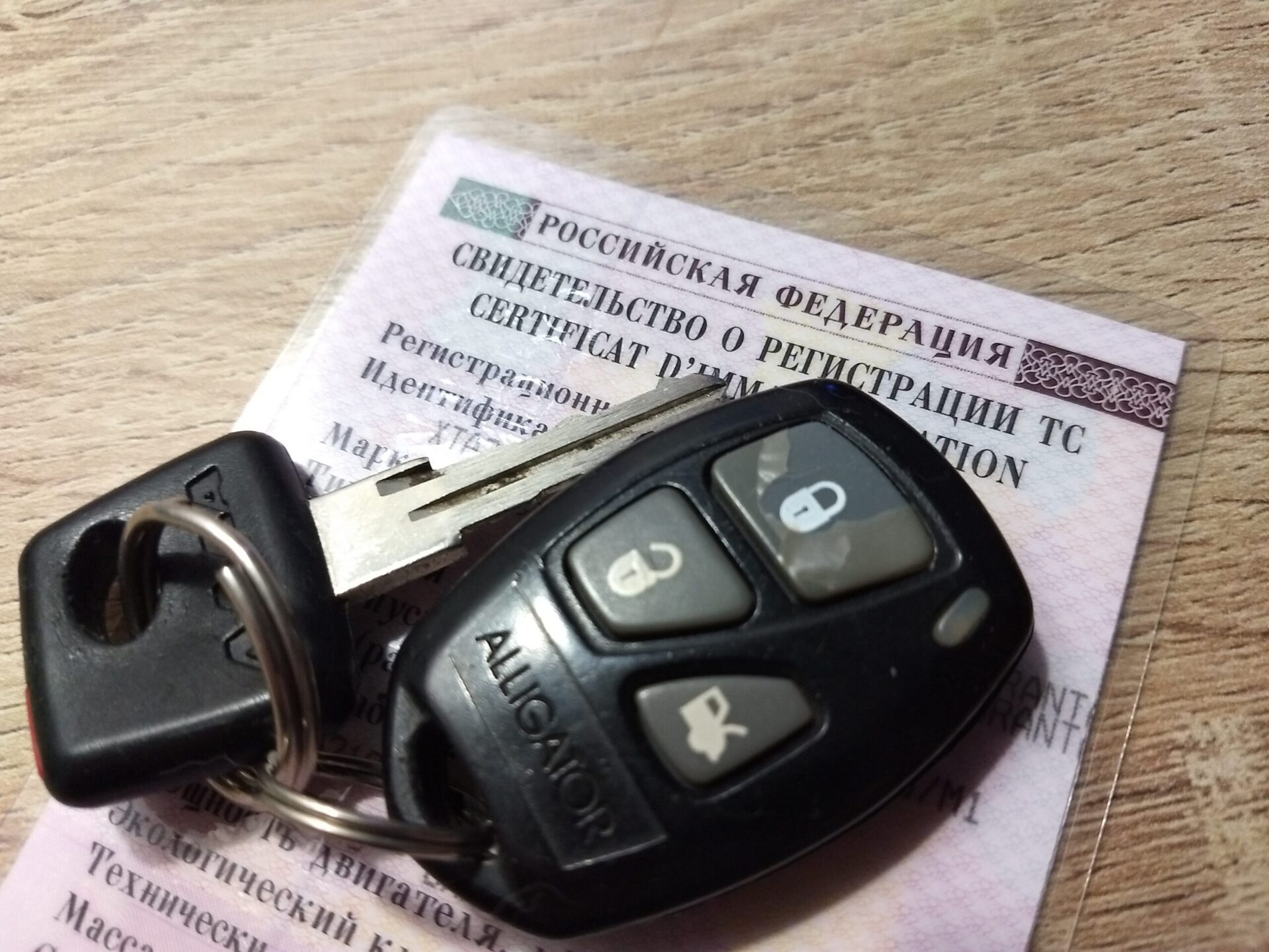 Каждый десятый автомобилист в РФ купил водительские права в 2022 году