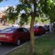 Запасов иномарок в российских автосалонах хватит до февраля 2023 года