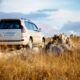 Toyota представит новый внедорожник Toyota Land Cruiser Prado во второй половине 2023 года