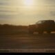 В США автокомпания Ford показала пикап Ford Ranger нового поколения 2024 года