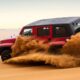 Проведен тест-драйв BAIC BJ40 на уральском бездорожье изданием 74.ru