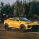 В РФ Lamborghini Urus стал самым популярным люксовым авто в 2023 году