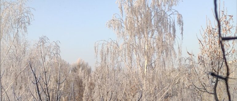 Ян Хайцеэр нашел способ, как запустить двигатель автомашины в любой мороз